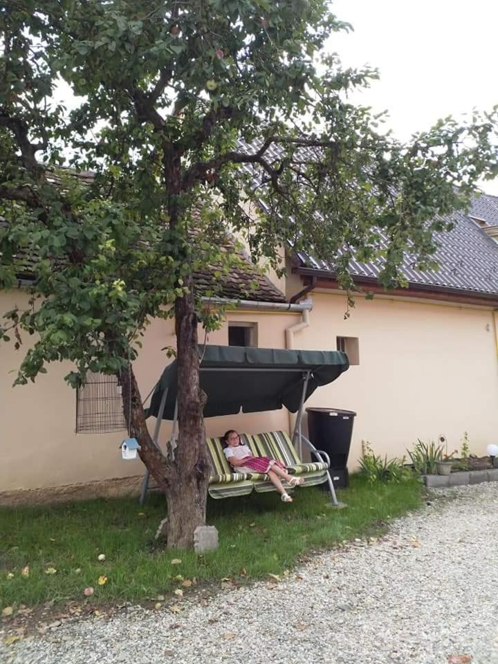 Retro Regina Baassen Hotel Bazna Kamer foto